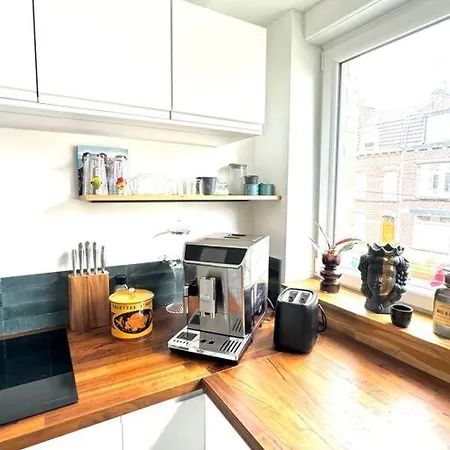 Maison Proche Du Vieux Lille Et De La Citadelle Avec Place Parking Lambersart